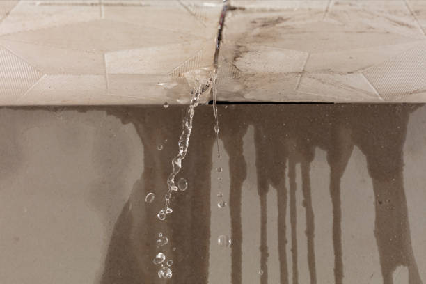 Professional Structural Drying technician working in Brownfield, TX